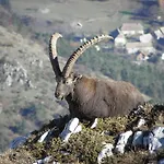 Le Cocon Du Vercors Méaudre