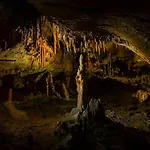 Le Cocon Du Vercors Apartamento *