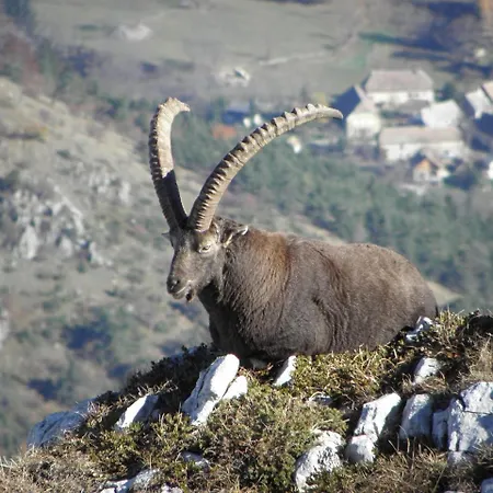 Le Cocon Du Vercors Méaudre
