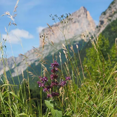 アパート Le Cocon Du Vercors