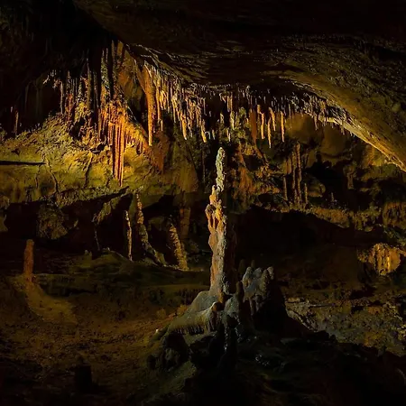 Le Cocon Du Vercors Διαμέρισμα *