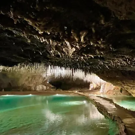 Le Cocon Du Vercors Διαμέρισμα Méaudre
