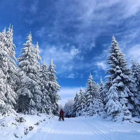 Le Cocon Du Vercors *