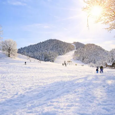 Le Cocon Du Vercors Apartman *