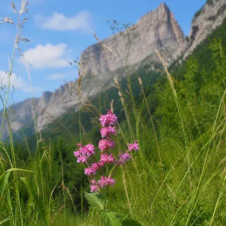 Le Cocon Du Vercors Apartman Méaudre