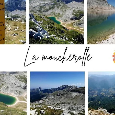 Le Cocon Du Vercors *
