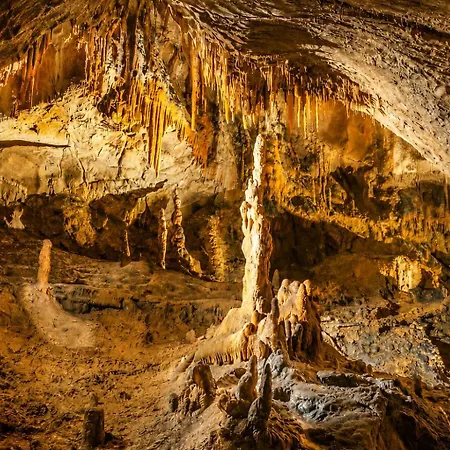Le Cocon Du Vercors Méaudre