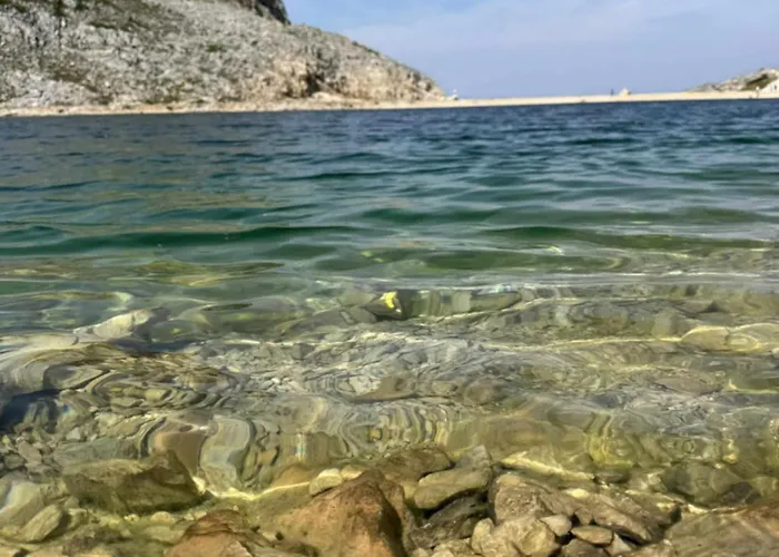Le Cocon Du Vercors Διαμέρισμα *
