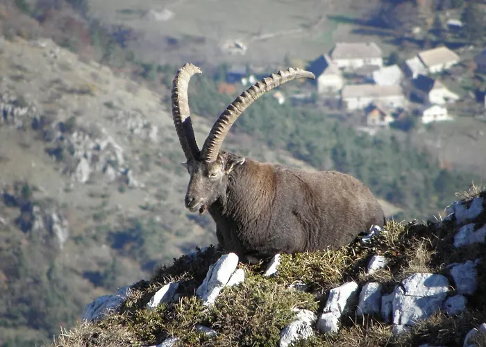 Le Cocon Du Vercors Méaudre