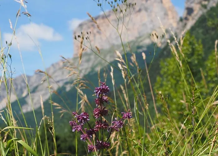 Διαμέρισμα Le Cocon Du Vercors