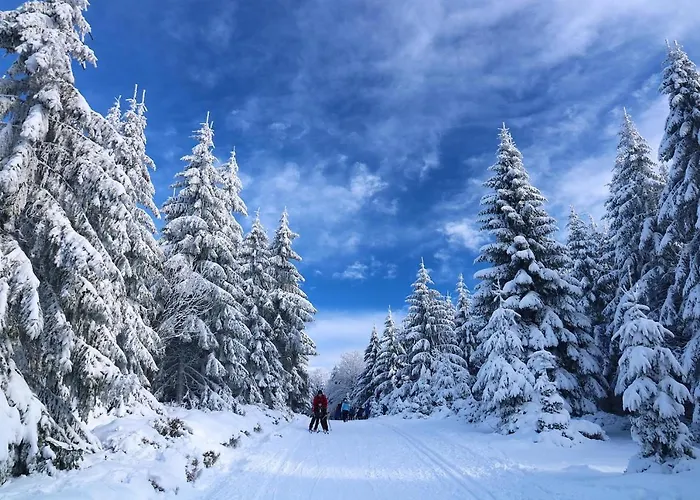 Le Cocon Du Vercors *