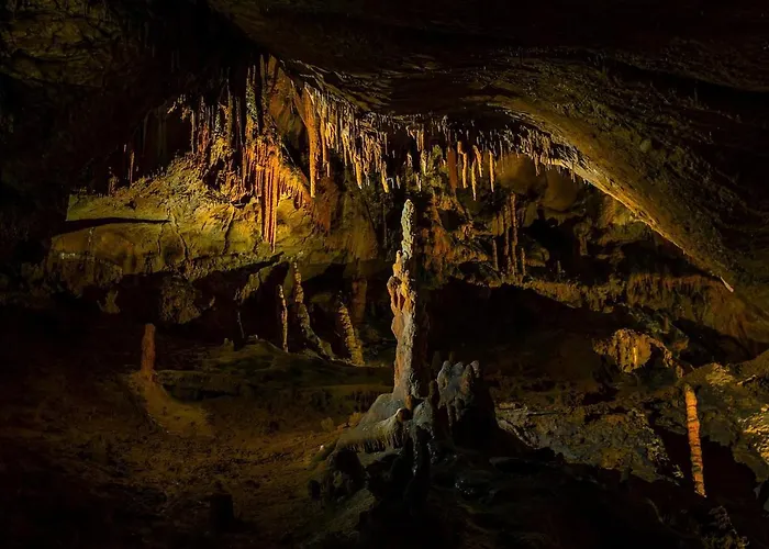 Le Cocon Du Vercors Διαμέρισμα *