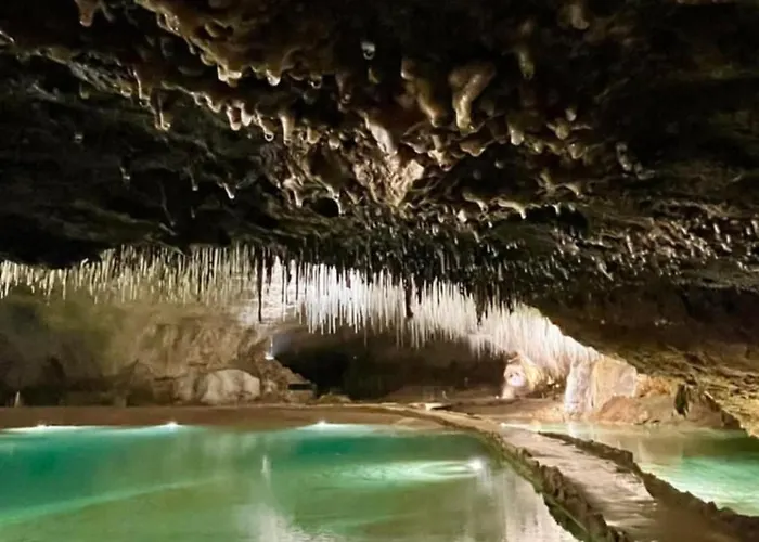 Le Cocon Du Vercors Διαμέρισμα Méaudre