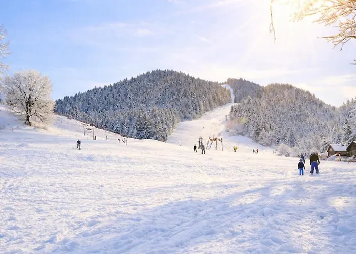 Διαμέρισμα Le Cocon Du Vercors